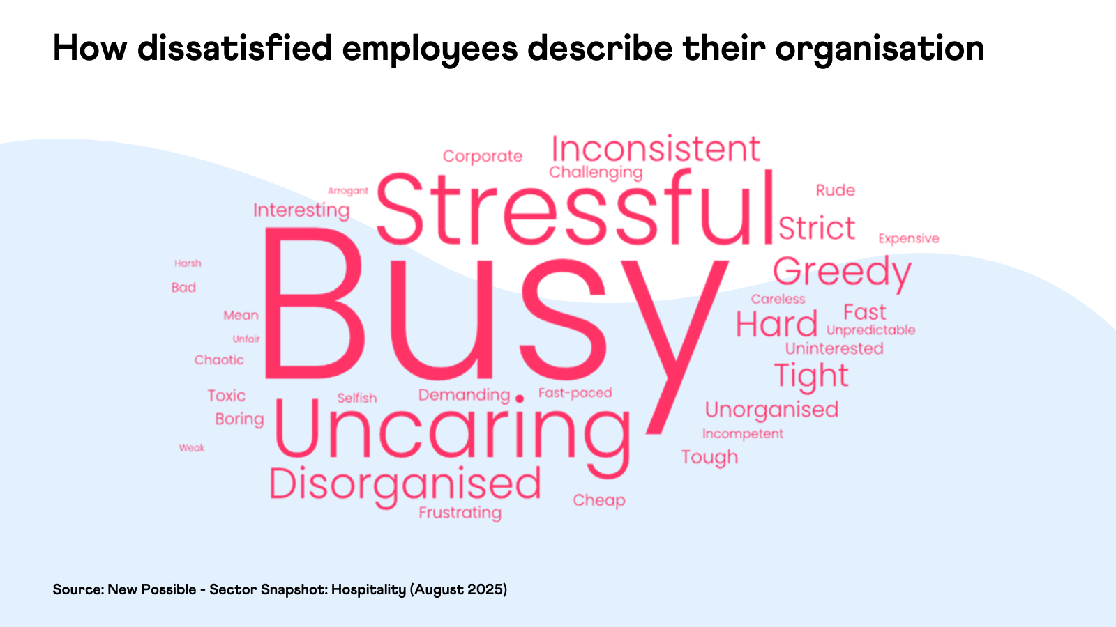 New Possible - Hospitality 2025 - Dissatisfied Employees Word Cloud